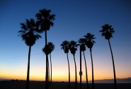 toelichting Californie