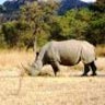 bestemming Bulawayo