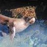 bestemming Galapagos Eilanden