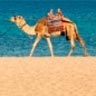 bestemming Hurghada