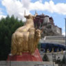 bestemming Lhasa